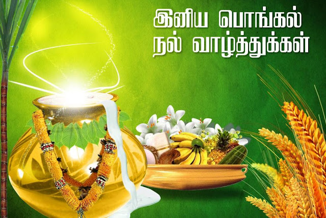 Gods Own Web: Pongal Wishes In Tamil | Happy Pongal Tamil Wishes Images