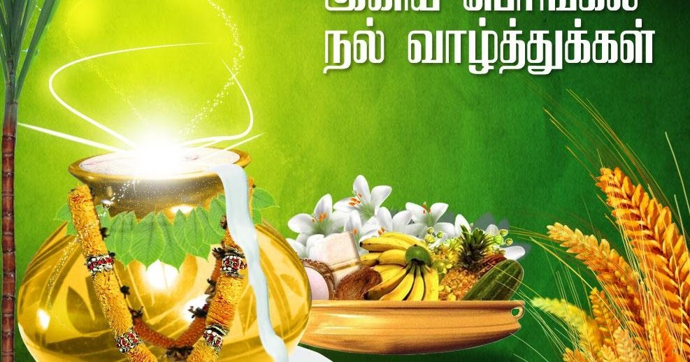 Pongal Wishes In Tamil Happy Pongal Tamil Wishes Images Tamil