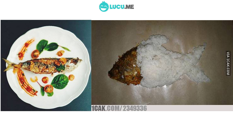 91 Foto Gambar Meme Makanan Lucu Terlihat Cantik 91 Foto Gambar Meme Makanan Lucu Terlihat Cantik