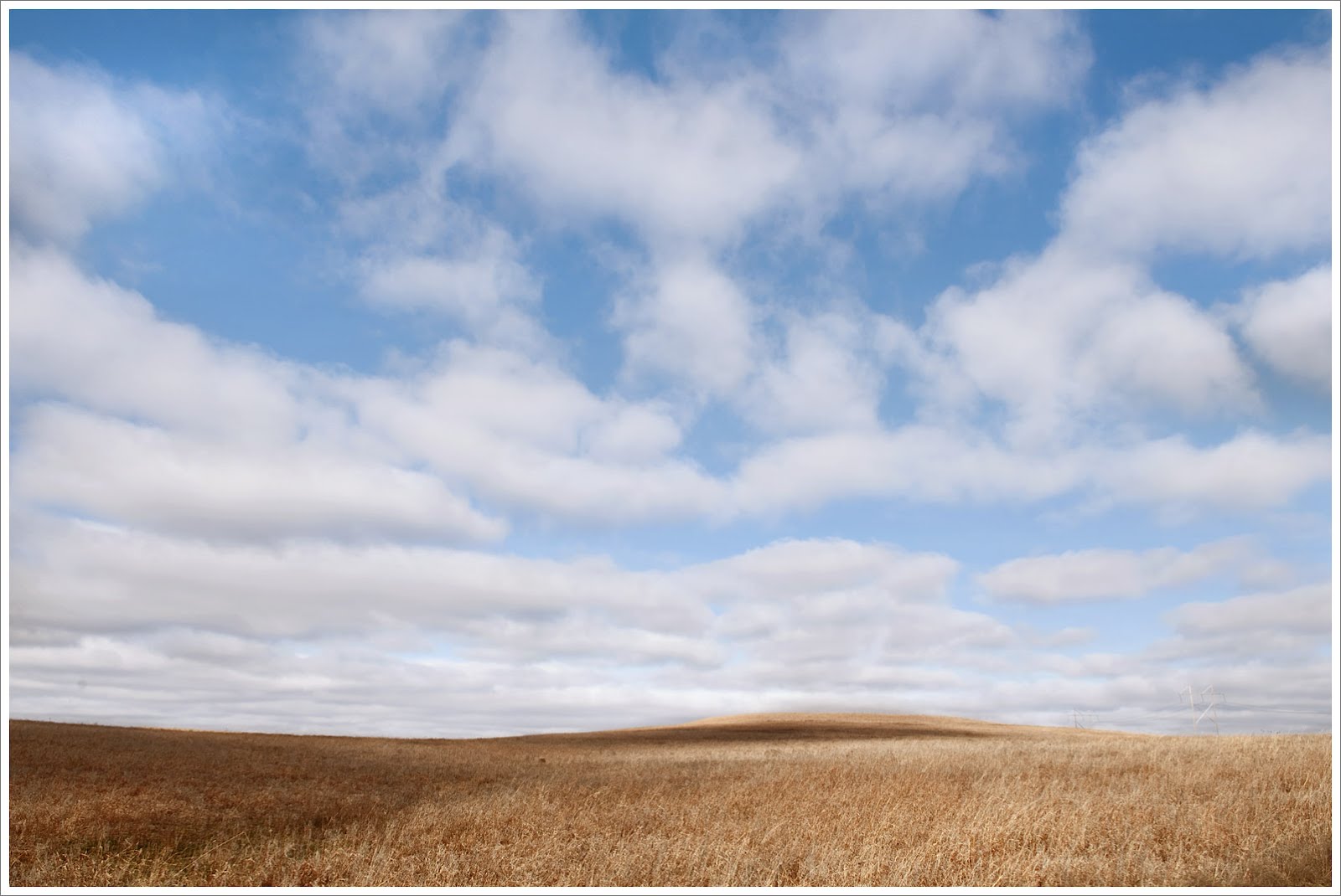 Nature essay quotes