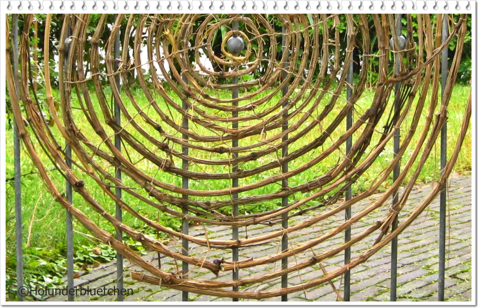 Holunderbluetchen: November 2012