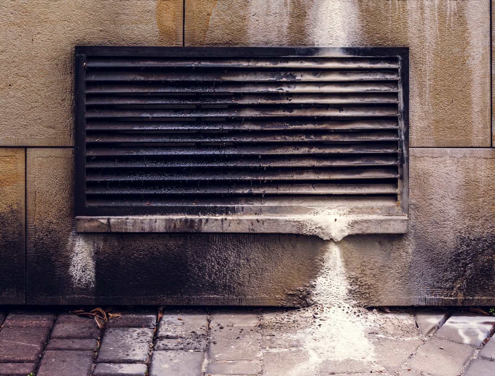GreenPro Cleaning & Restoration Official Blog Why Does Mold Grow in HVAC Ducts?