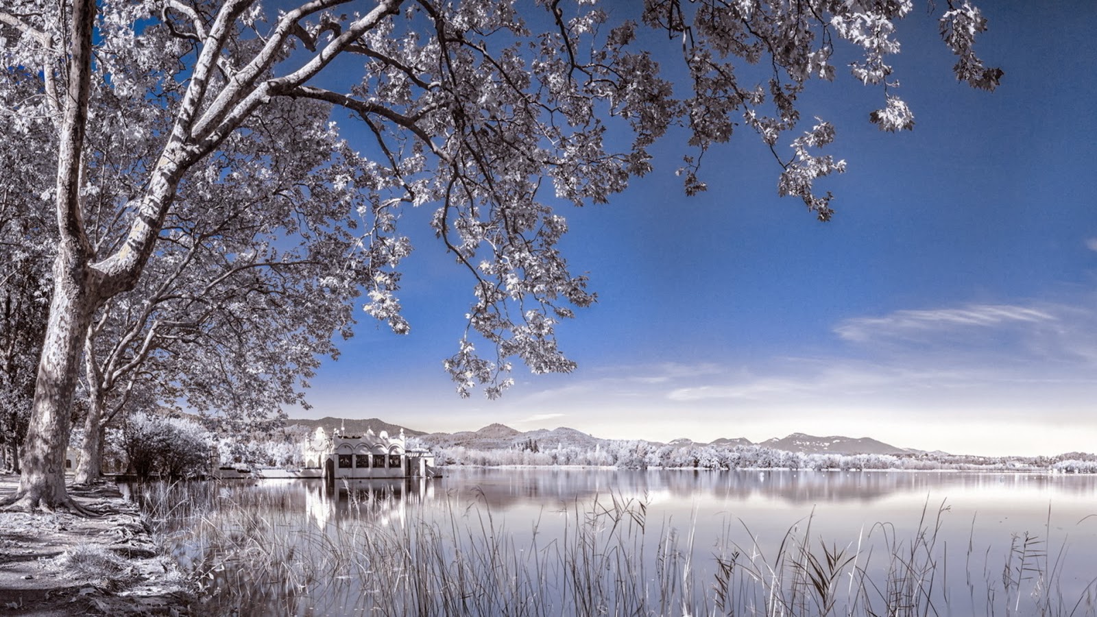 winter desktop backgrounds