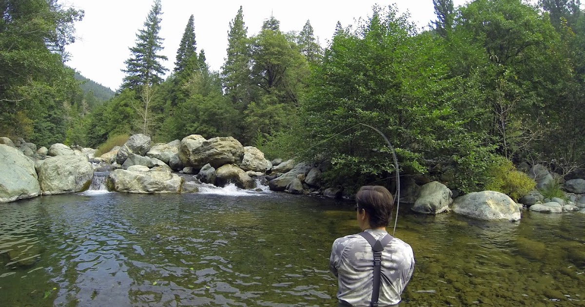 Fishing North Yuba River FISHING ROT