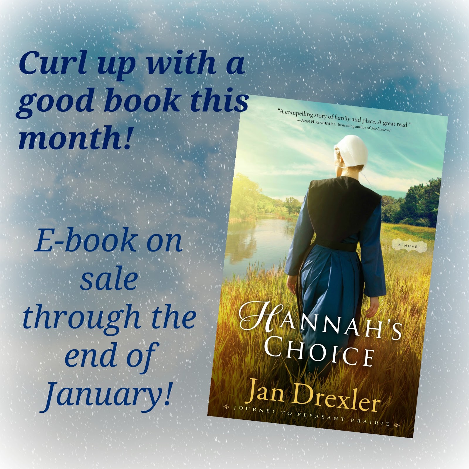 ... Journey to Pleasant Prairie series is on sale! Pick up your e-book copy of Hannah's Choice at your favorite on-line retailer (Barnes and Noble, Amazon, ...