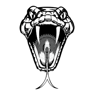 Logo DLS 2017 ular viper