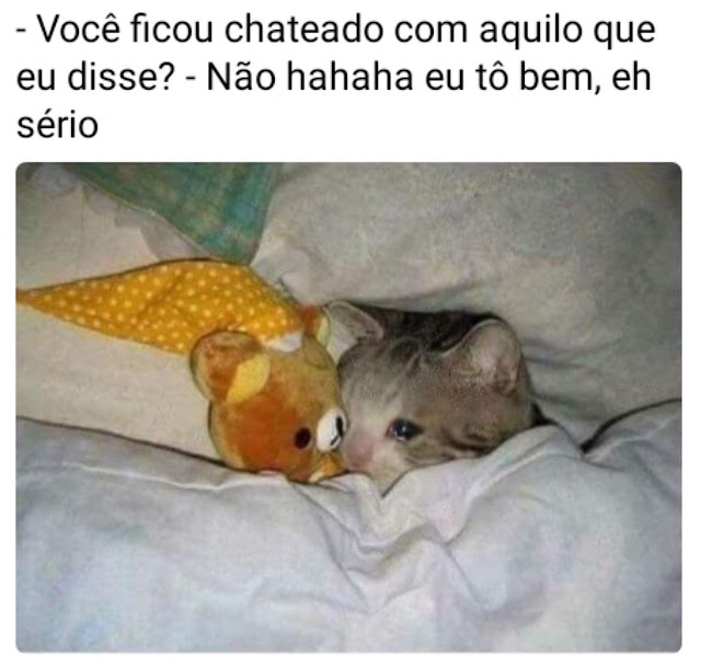 Memes engraçados Memes engraçados