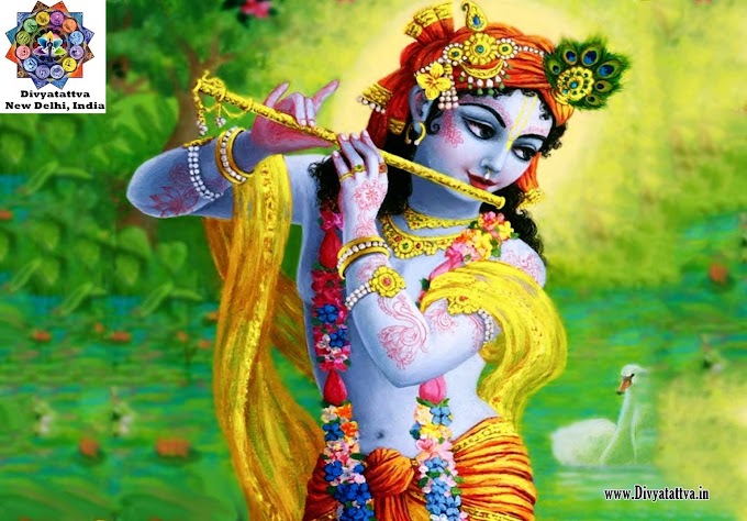 Lord Krishna HD Wallpaper Radha Govinda Background Images Download