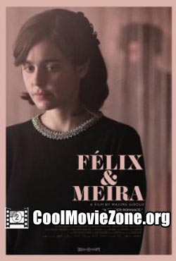 Félix & Meira (2014)