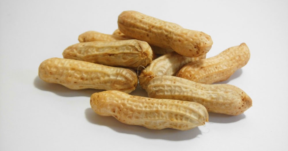 Kacang Tanah Informasi Belajar Anak Interaktif