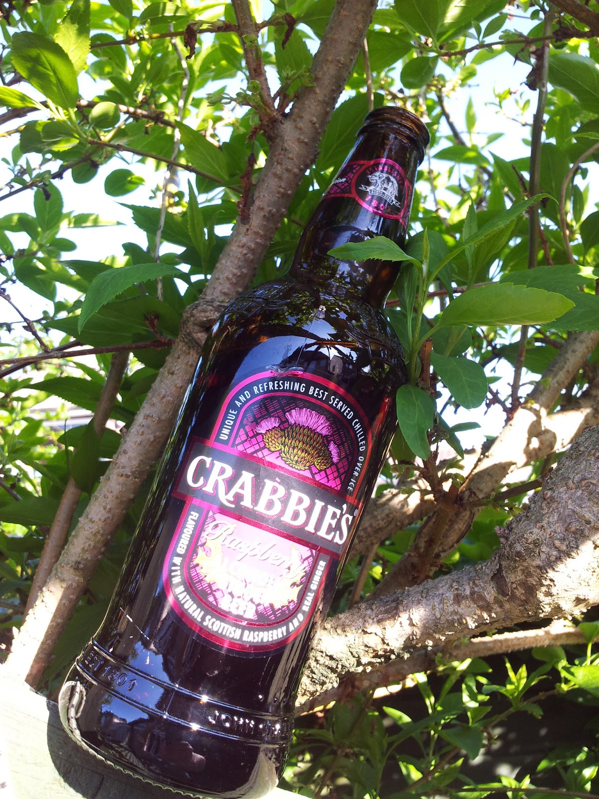 Eat it, Drink it, cook it, eat out. Raspberry ginger beer