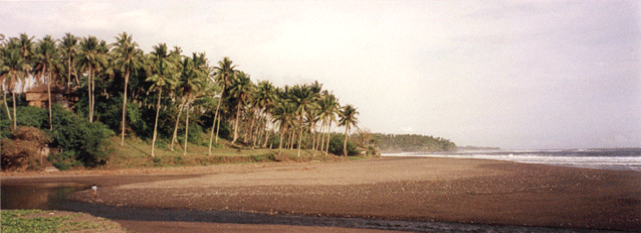 Pondok Pisces Bali: Old days