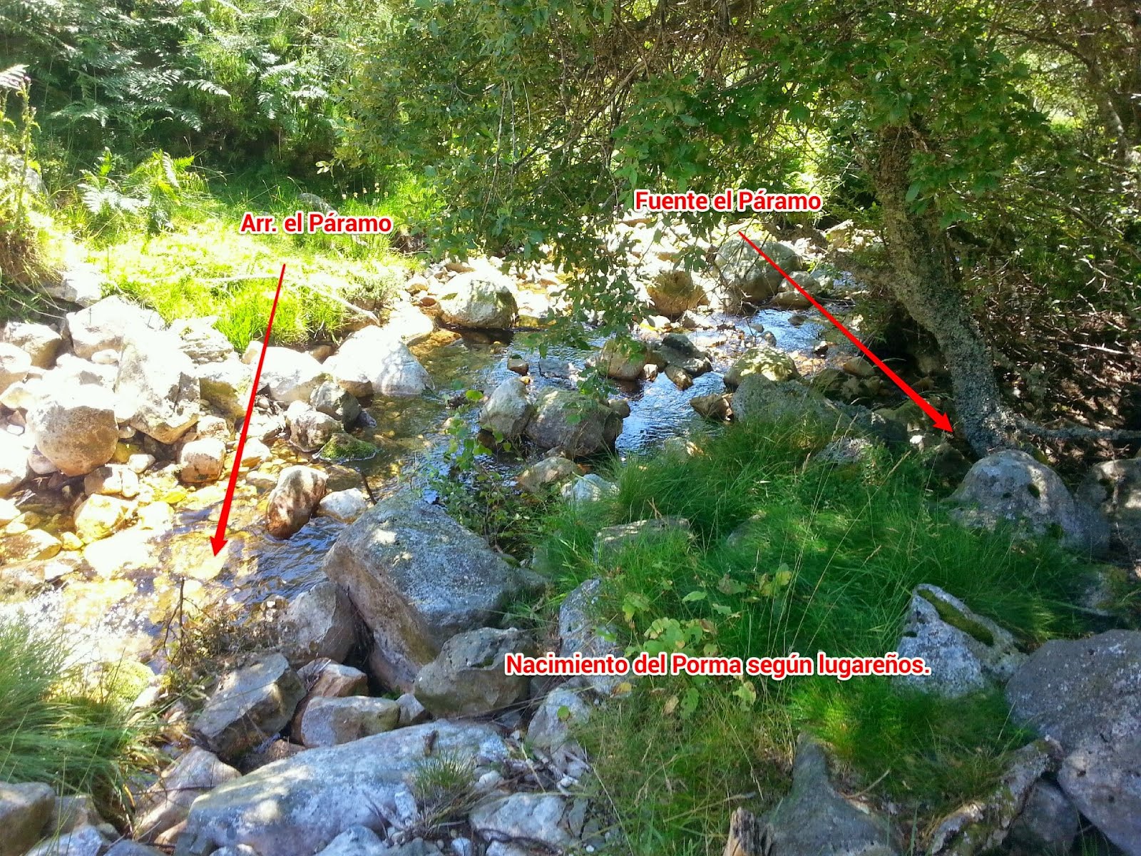 EL RÍO PORMA. DESDE SU NACIMIENTO HASTA LA DESEMBOCADURA EN EL ESLA.