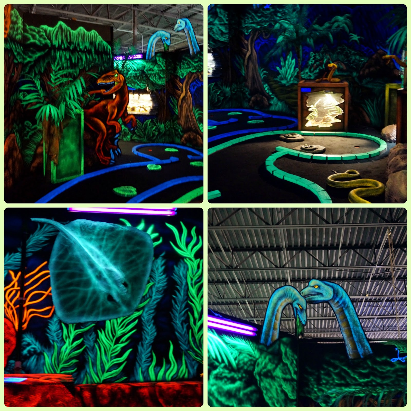 Branson s Wild World Branson s wild world