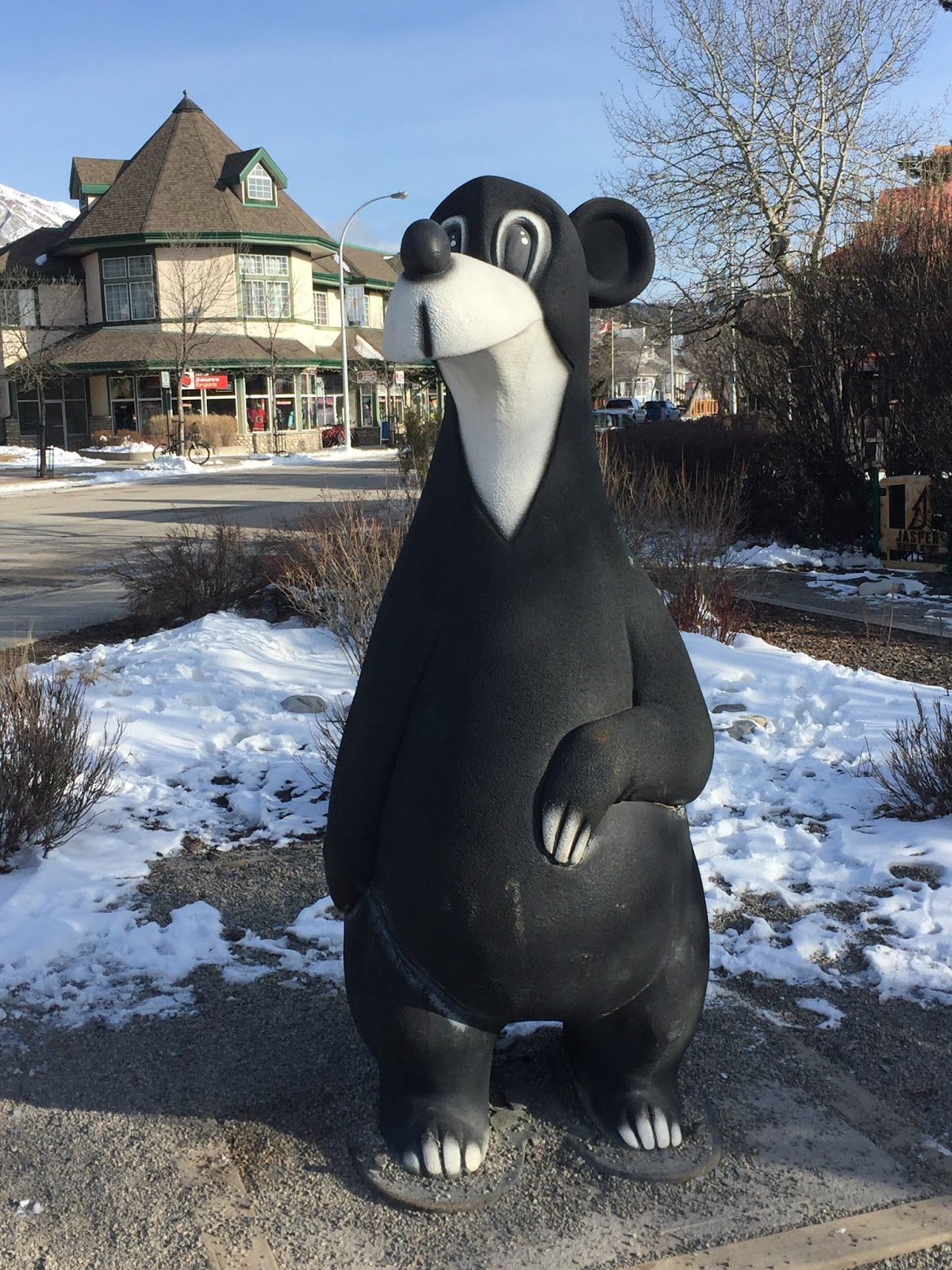 The view from here Jasper the bear, Jasper, Alberta