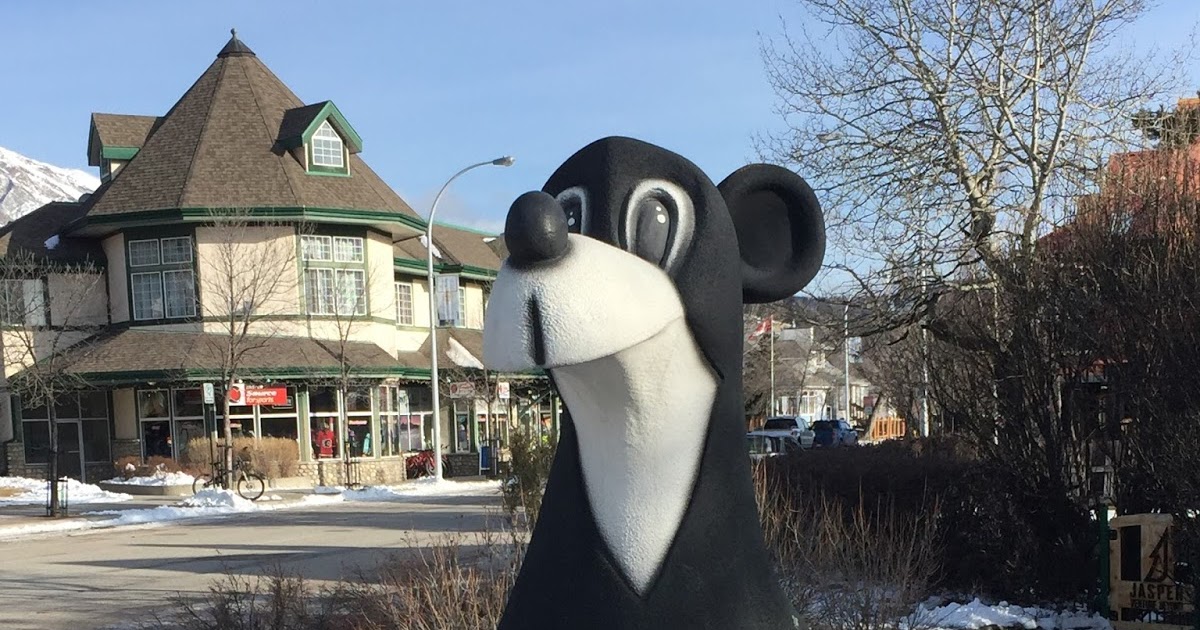 The view from here Jasper the bear, Jasper, Alberta