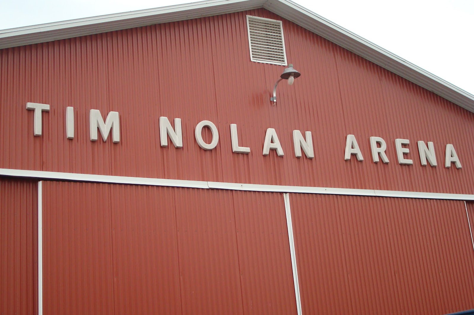 North Horse Auction Fever & Ten Dollar Horses Nolan Auction Report