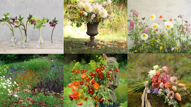 The Irish Flower Farmer en Instagram