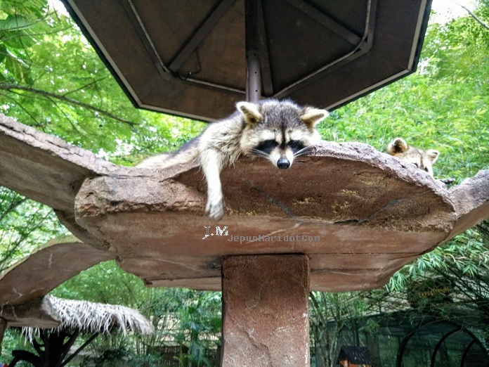 bercuti di Lost World of Tambun bercuti di Lost World of Tambun