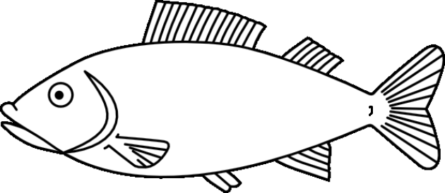 Gambar Lihat Mewarnai Ikan Sederhana Art Images Rebanas