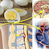 Superfoods: Reasons Why Eggs Are The Healthiest Food
