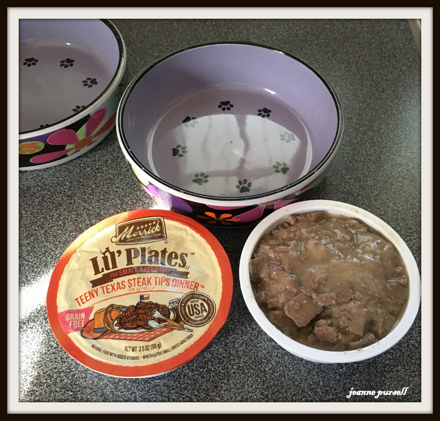 bichonpawz Chewy Visit!! Merrick Lil' Plates