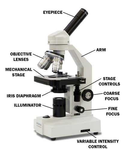 microscope diagram with name - EDUSIP