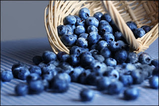 Μύρτιλα (blueberries) και άγρια μύρτιλα (bilberries) για το μεταβολικό σύνδρομο, την παχυσαρκία, τον διαβήτη, την καρδιά, τον καρκίνο, τα μάτια, την αντιγήρανση.