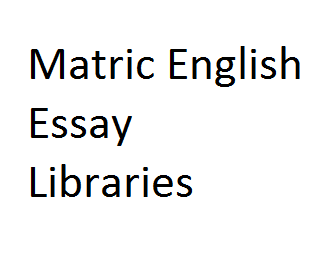 library essay in english