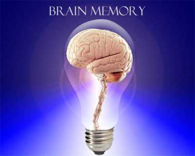 Cara Optimalkan Memori Otak Cara Optimalkan Memori Otak