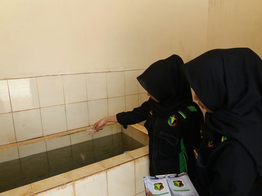 Apakah Sebetulnya Abate, Bubuk yang Ampuh Usir Wabah Demam Berdarah?