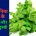 हरा धनिया (Hara Dhaniya) खाने के फायदे | Benefits Of Coriander Leaves- Baba Ramdev Tips