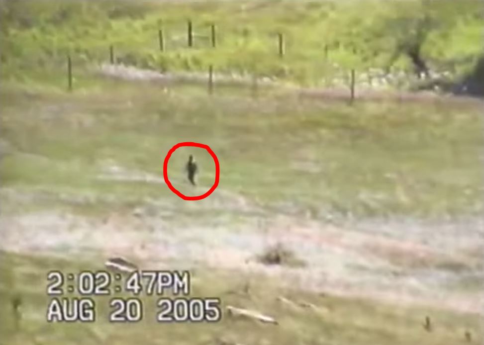 Classic Breakdown Is This A Black Hills Bigfoot Or A Dude?