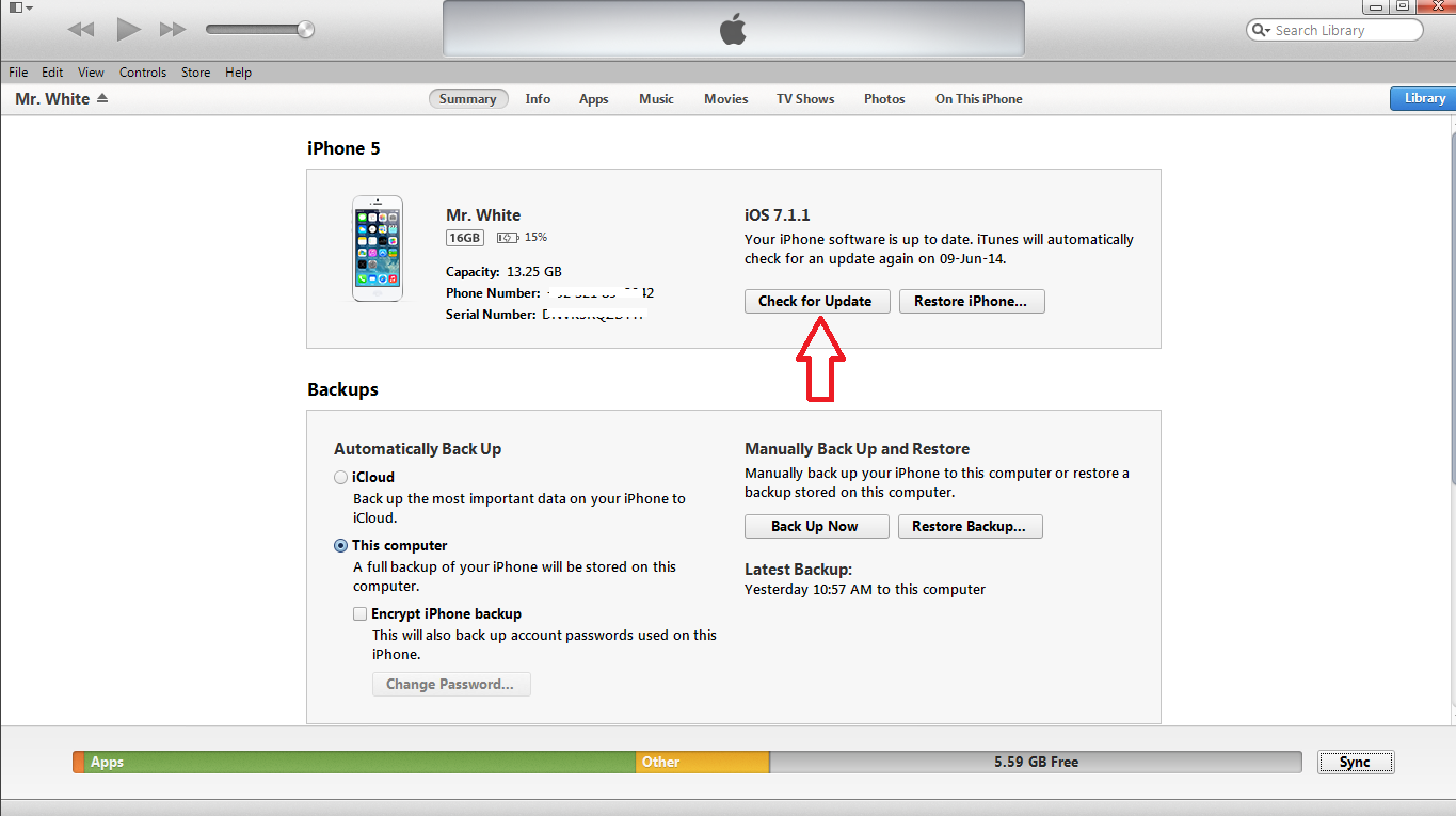 IOS update download NOWish (Apple Seed not such a public beta)