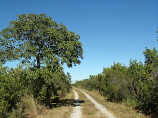 La pista de tierra La pista de tierra