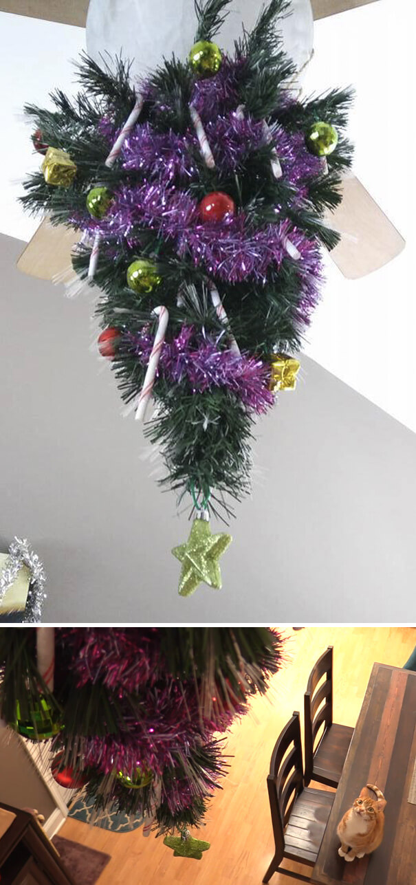 These Geniuses Found A Way To Protect Their Christmas Trees From Their Cats And Dogs These Geniuses Found A Way To Protect Their Christmas Trees From Their Cats And Dogs