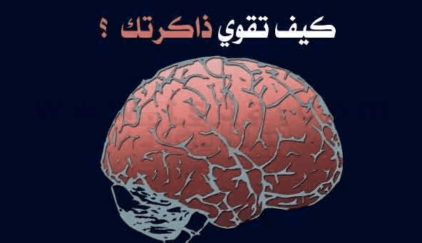 تقوية الذاكرة من خلال هواية يمكن استغلالها تقوية الذاكرة من خلال هواية يمكن استغلالها