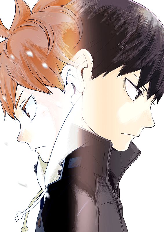 Haikyuu!! (Shin Series) Haikyuu!! (Shin Series)