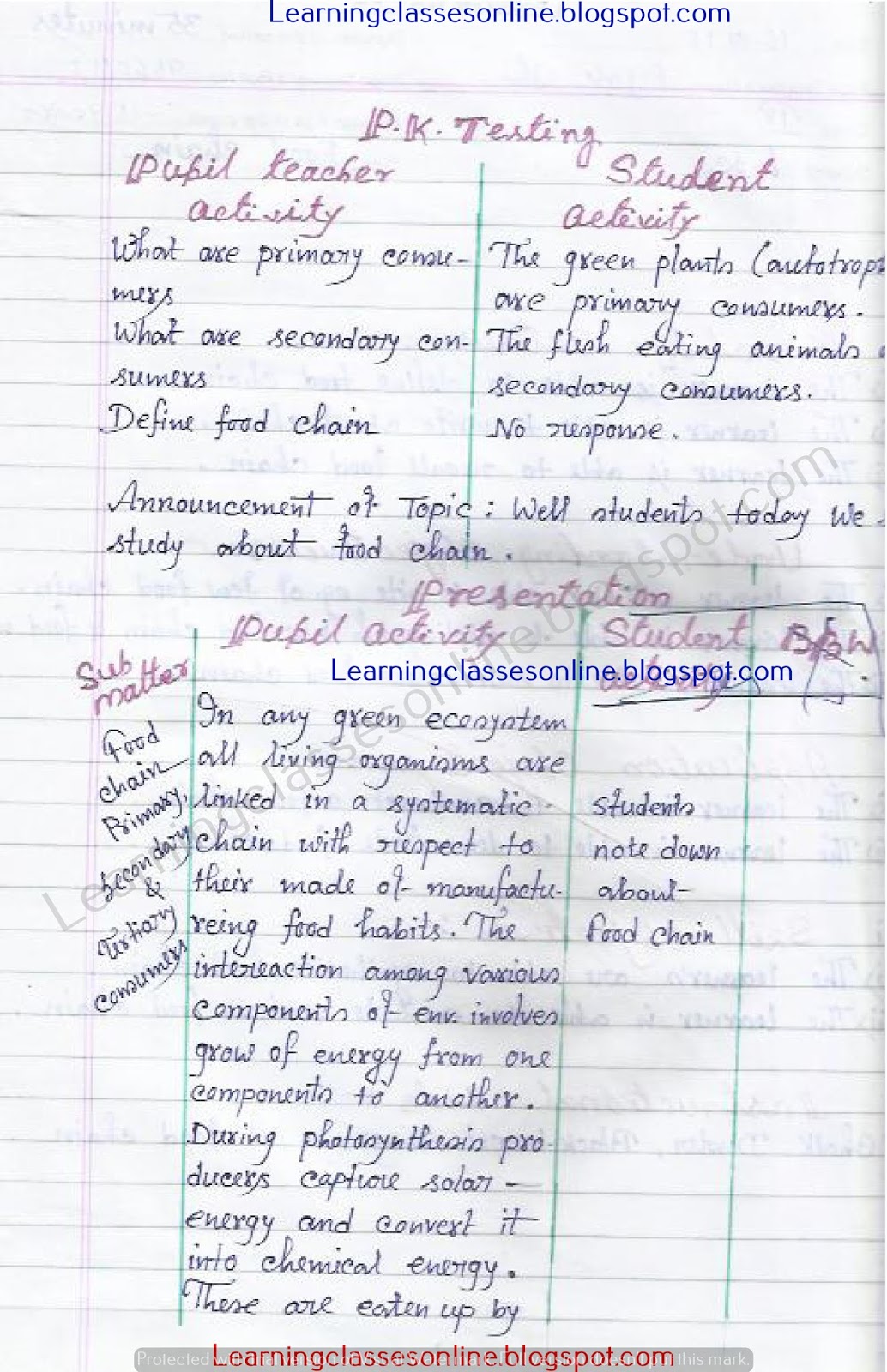 B.Ed biological Science lesson plan on Food chain for class 7 and 8