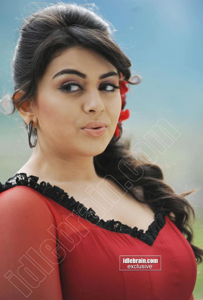 Hansika Motwani Stunning Hot N S