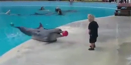 Imagenes graciosas gifs y mujeres hermosas tachido.mx lawaloca