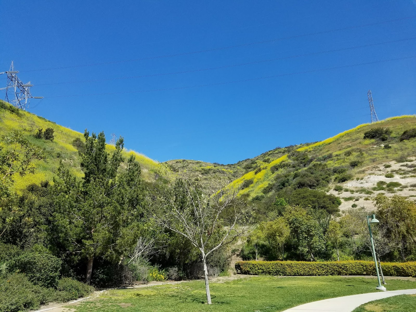 Iron Hiker Peralta Hills High Point