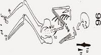 http://sciencythoughts.blogspot.co.uk/2015/05/evidence-of-leprosy-in-from-early-anglo.html