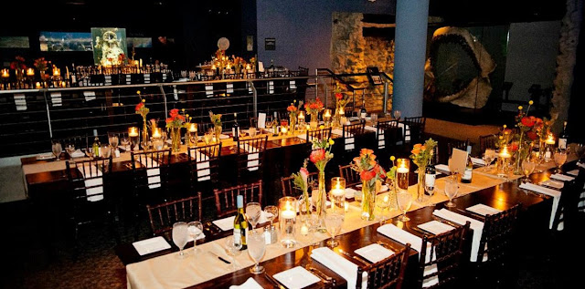 Wedding Venues In Raleigh Nc north carolina aquarium at fort fisher Wedding Venues In Raleigh Nc north carolina aquarium at fort fisher
