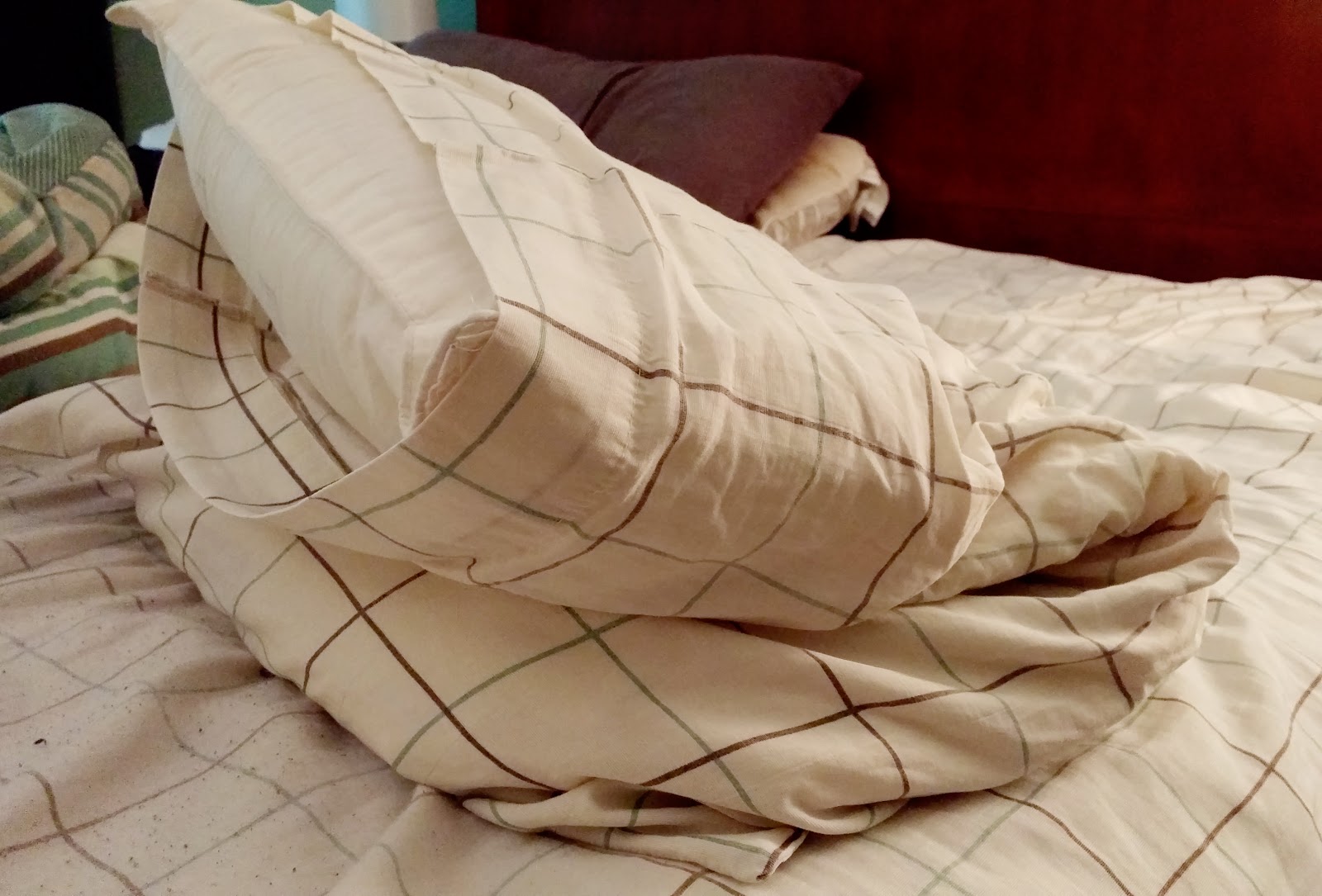 Cleaning Your Pillows (Or Replacing Them) August Pinterest Challenge