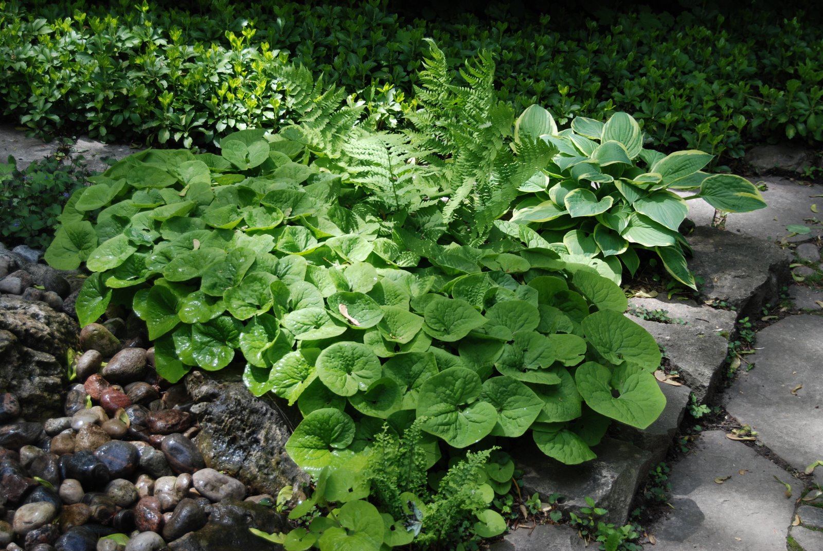 A New Owner, A Revitalization in the Making! Teza's Hortus Magnificum