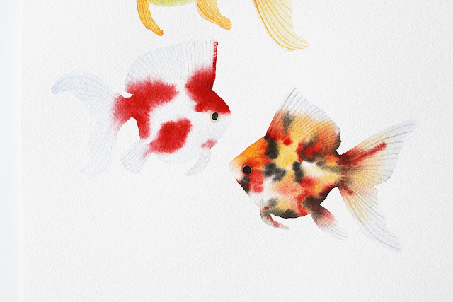 watercolor, watercolor goldfish, watercolor painting, goldfish painting, Anne Butera, My Giant Strawberry