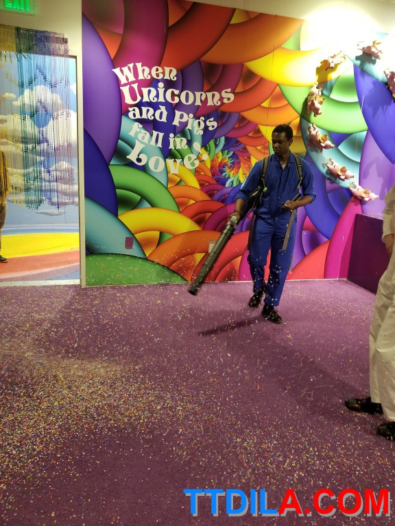 Things To Do In Los Angeles Candytopia Enjoy Touring A World of Candy