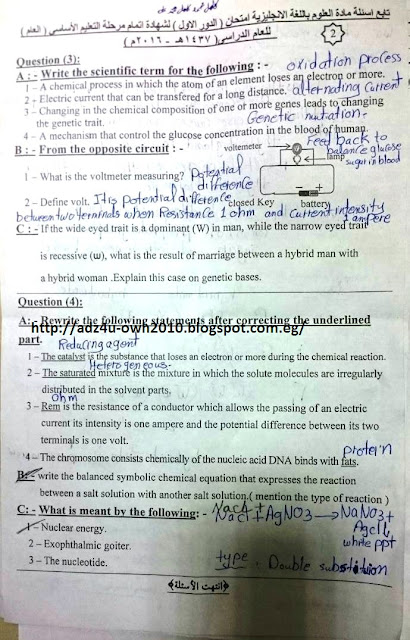  محافظة الاسكندرية: نموذج اجابة امتحان Science للشهادة الاعدادية لغات ترم ثان 2016 13223515_632708353547169_893651186_o