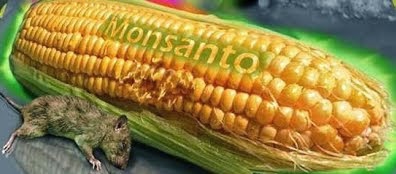 Allt om GMO på 5 minuter (video)